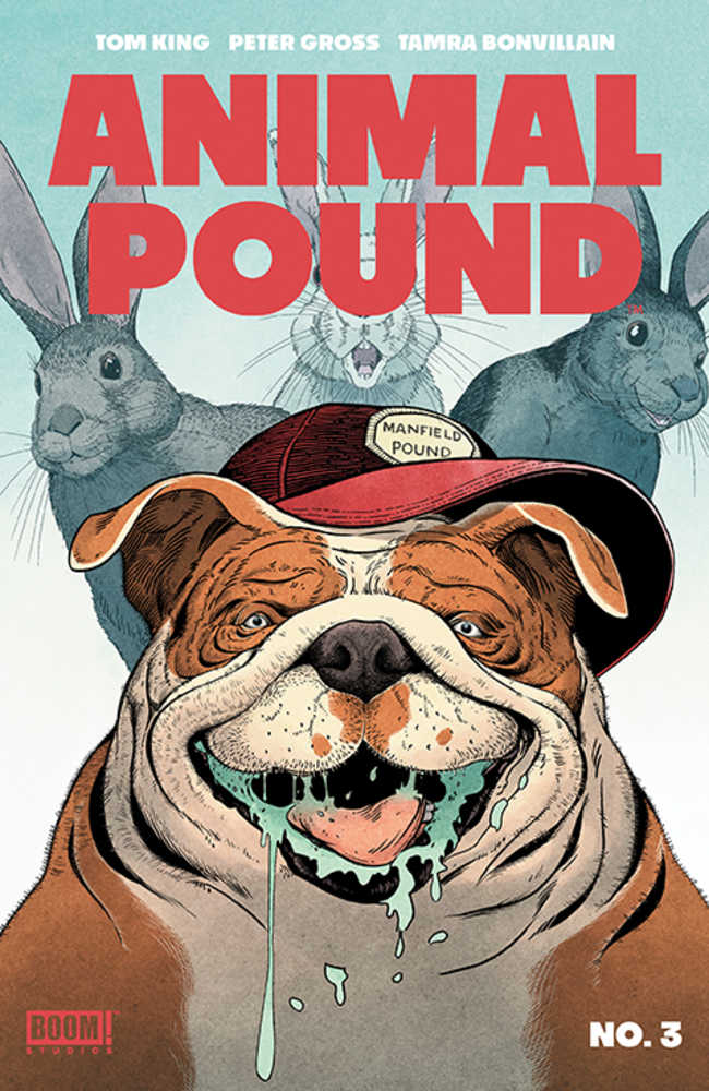 Boom! Studios Animal Pound #3 Peter Gross