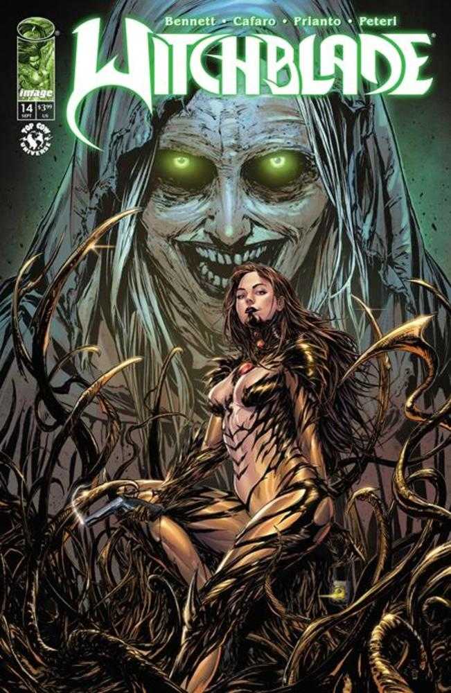 Image Comics Witchblade #14 Raymond Gay